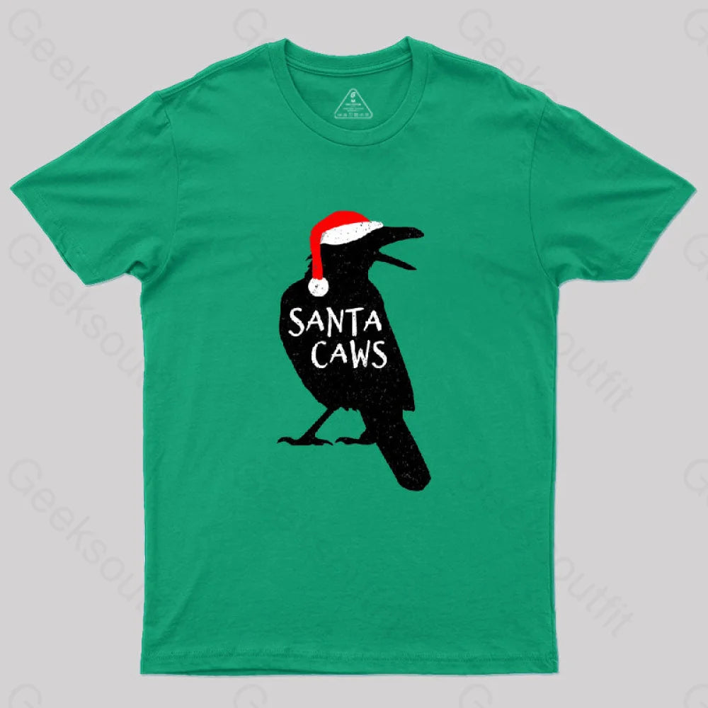 V - Neck Women T Shirt to Enhance the NecklineFunny Christmas Crow-Santa Caws T-Shirt